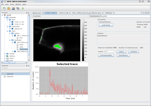 Glotaran FLIM dataset editor showing an example of FLIM data.